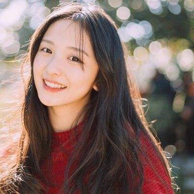 装甲雄狮游戏